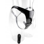 20 Function Remote Fantasy Panty