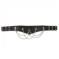 Black Leather Collar With Silver Chains