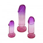 Sunset Dreams Anal Plug Training Kit 