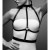 Maze H Harness