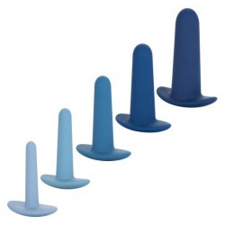 They-ology Wearable 5 Piece Blue Anal Trainer Dilation Set