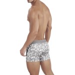 Clever 1456 Grace Trunks Color Gray