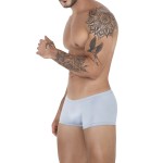 Clever 1529 Glacier Trunks Color Gray