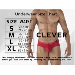Clever 1870 Audaz Brief Color Dark Gray