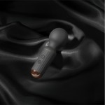 Coquette Small Wonder Mini Wand