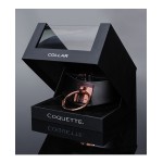Pleasure Collection Adjustable Neck Collar