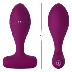 Plua Remote Controlled Anal Plug