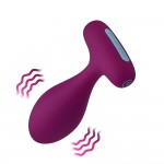 Plua Remote Controlled Anal Plug