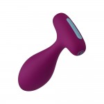 Plua Remote Controlled Anal Plug