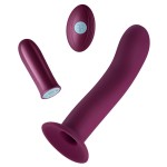 Versa S - Sleeve, Bullet & Remote