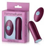 Versa Bullet and Remote