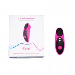 Ferri Remote Panty Vibe