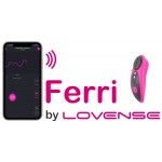 Ferri Remote Panty Vibe
