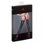 Powerwetlook Stockings and Panties with Silver Zipper