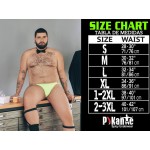 PIK 1090 Burly Mesh Trunks Color Black