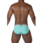 Private Structure EPUT4385 Pride 2PK Mid Waist Mini Briefs Color White-Green
