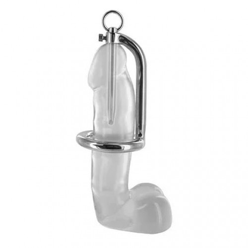 Stainless Steel Chastity Penis Ring & Urethral Probe