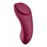 Sexy Secret Panty Vibrator 