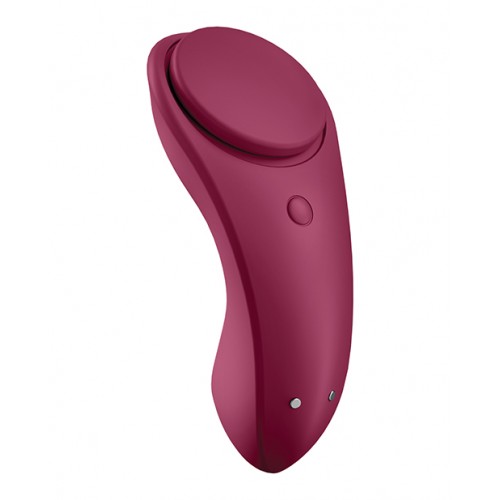 Sexy Secret Panty Vibrator 