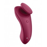 Sexy Secret Panty Vibrator 