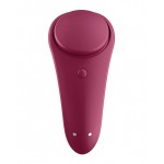 Sexy Secret Panty Vibrator 