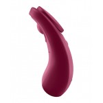 Sexy Secret Panty Vibrator 