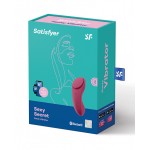 Sexy Secret Panty Vibrator 