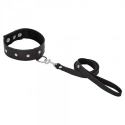 Leather Leash & Collar 