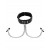 Collar with Nipple Clamps