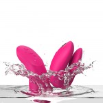 We-Vibe Chorus Pro Couples Vibrator 