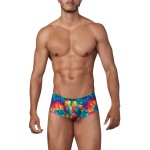 Xtremen 91147 Printed Microfiber Trunks Color Rainbow Fish