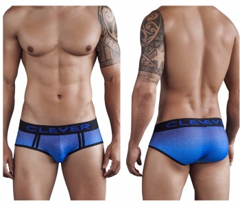 Briefs